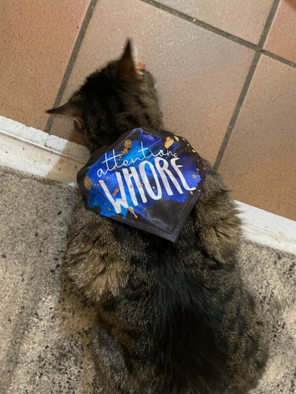 Attention Whore Sml Pet Bandana P/M - Image 4