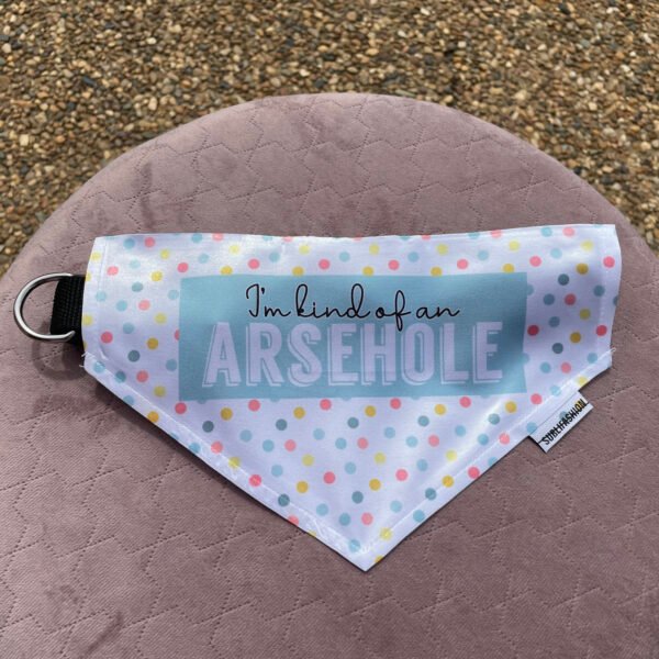 Arsehole Lge Pet Bandana P/M - Image 2