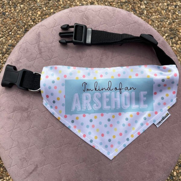 Arsehole Lge Pet Bandana P/M - Image 3